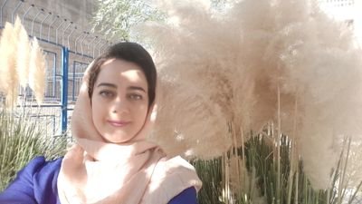 mdivdar's profile picture. خبرنگار و روزنامه نگار        Journalist & writer