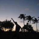 Michael Carrow - @MichaelCarrow - Twitter