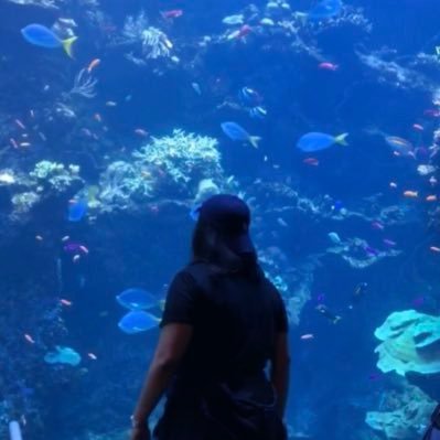 casuallyascetic's profile picture. Lifelong learner. Tweets are mostly half-baked thoughts, observations, or notes to myself.