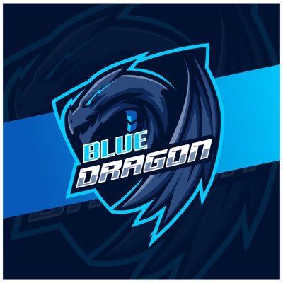 BlueDragonBS's profile picture. esports. @opulenceesports | owner @mysticesportsop  dc: bluedragonbs