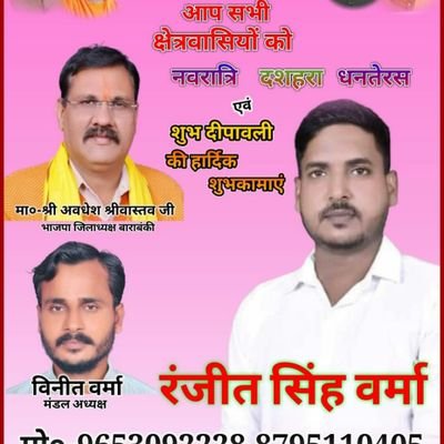 उपाध्यक्ष भाजपा