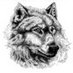 akella (@akella) Twitter profile photo akella (@akella) Twitter profile photo