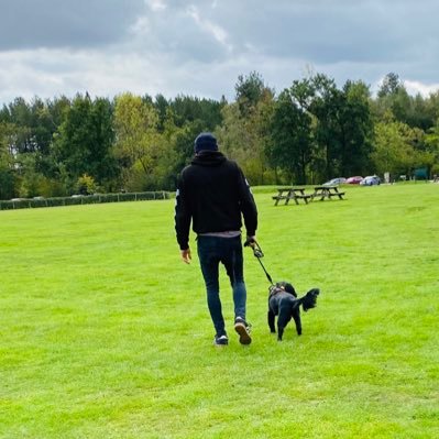 staplesface's profile picture. 🌱🔨