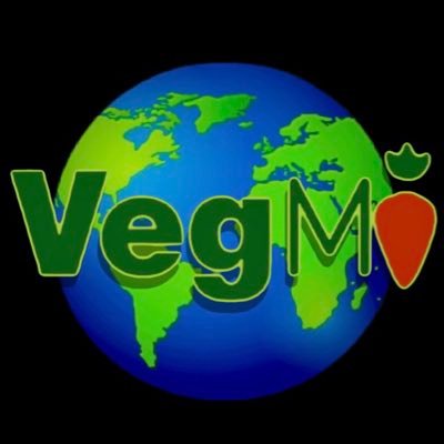 VEGMI is an eco-friendly & vegan vending machine. Our mission is to create a snacking experience for all, regardless of dietary restriction and ethical beliefs.