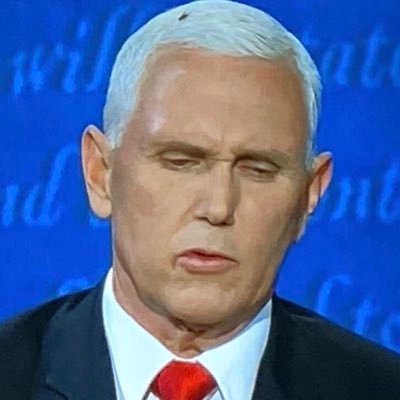 FlyOnMikePence3 Profile Picture