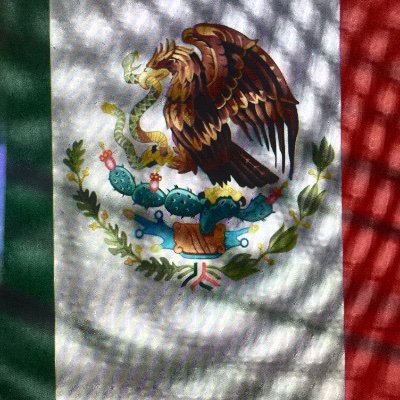 Libertad, responsabilidad, trabajo, respeto, propósito, justicia, bienestar, salud por un mejor Mexico y un mejor planeta.