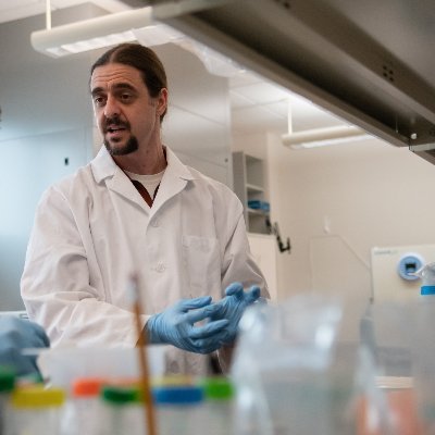 UzerGunes's profile picture. Associate Proffesor @Madaptations @BoiseState. Nuclear Mechanobiology & Modeling.