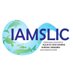 Iamslic (@iamslicorg) Twitter profile photo Iamslic (@iamslicorg) Twitter profile photo