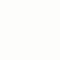 MOVED ACCS 📌 readさんのプロフィール画像