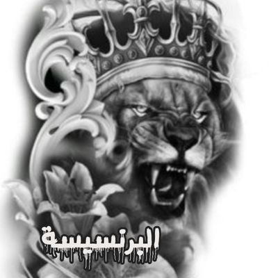 شخصيه عاديه جدا اعيش يومي بمتنان لرب العزه
اتعامل فقط مع العقول الراقيه