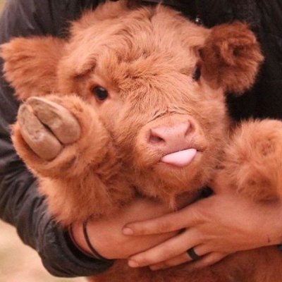 TheDyonisos's profile picture. Passionné de modélisation, d'animation 3D, un touche à tout. Passionate about 3D modeling and animation, open for commission.
https://t.co/7u68M0dDUH