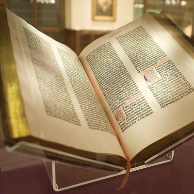 melsotheraccoun's profile picture. annotate chapter twelve dumbass.