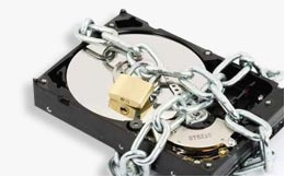 iohancathal's profile picture. 