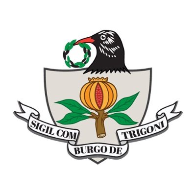 The official Twitter feed for Tregony Parish Council, Cornwall, UK