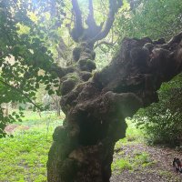 Martine Laflutte (@mlaflutte) 's Twitter Profile