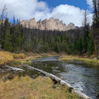 Kentucky to Colorado                           Wife & Mother