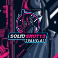 solidshot13 (@solidshot13) 's Twitter Profile
