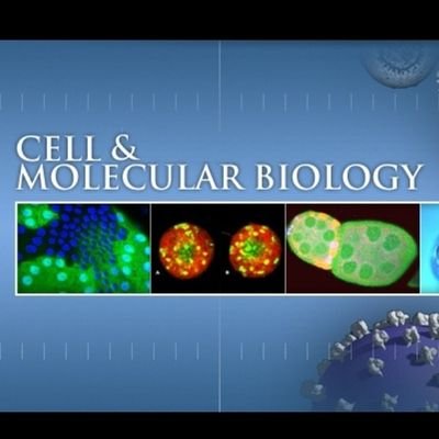 FSU Cell & Molecular Biology Program Profile