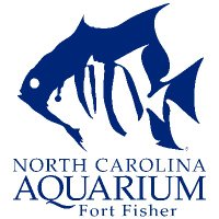 NC Aquarium at FF(@NCAquariumFF) 's Twitter Profile Photo