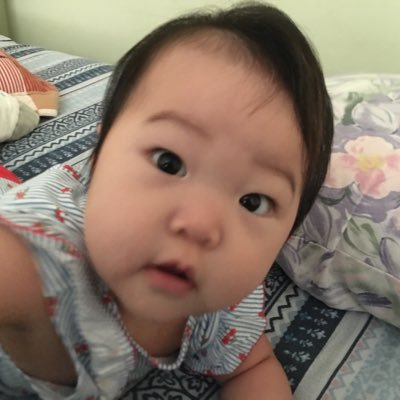 hangdin75588482's profile picture. 