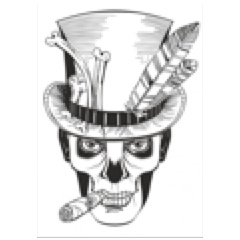 Waynenola's profile picture. 