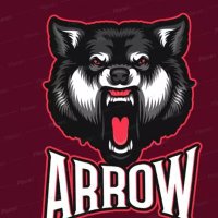 🔥TEAM ARROW..❌ (@teamarrow19) 's Twitter Profile