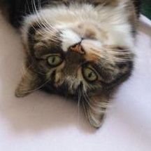 MariaDowell2's profile picture. Ugh