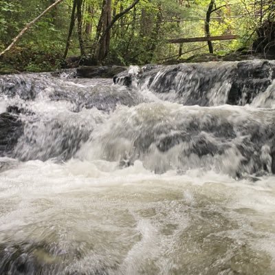 cogdell's profile picture. Jack of All Trades