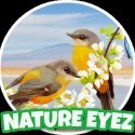 Welcome to Nature Eyes. My name is Muhammad Hameed. This is a blog site for natural beauty and education about beauty, health, and healing.