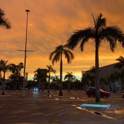 msouzayudico1's profile picture. #trabajando pero con las medidas necesarias de seguridad y protección