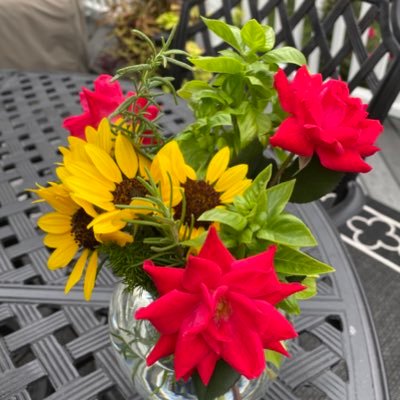 TheMaryMo1's profile picture. 