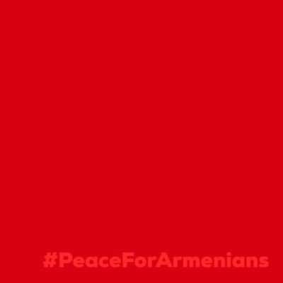 mrmalomtl's profile picture. 