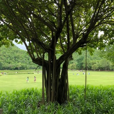 t7578's profile picture. 