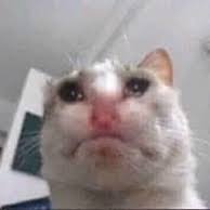 Mxtrohit's profile picture. a fortnite trickshoter on nintendo switch