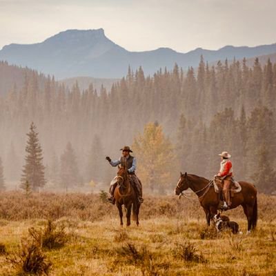 #SaveTheMountains
Sustainably raising high performance beef cattle on the open range of the Rocky Mountains of Southwestern Alberta. Proud Agvocates.