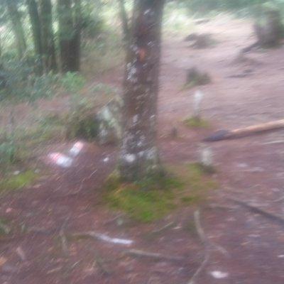 ReservaFamilia's profile picture. 