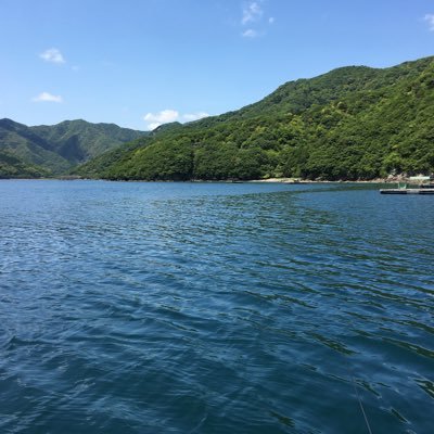 negative_note's profile picture. 