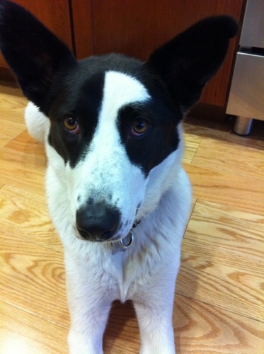 nattyf415's profile picture. 