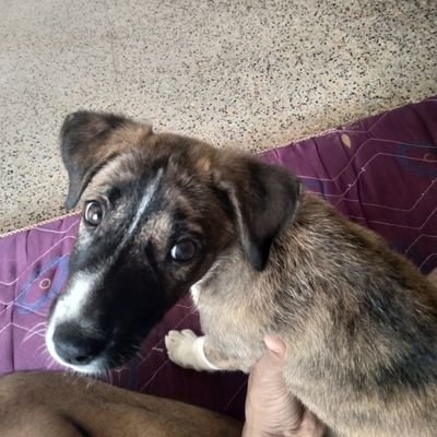 arunach54263792's profile picture. Don't judge me..