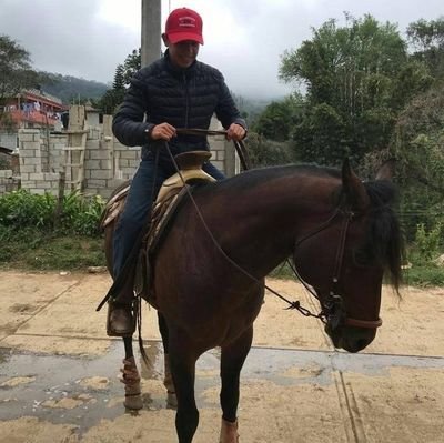 LuisVel50336088's profile picture. El corazón en la montura, la vida en los estribos y el pulso en las riendas.🐎🤠