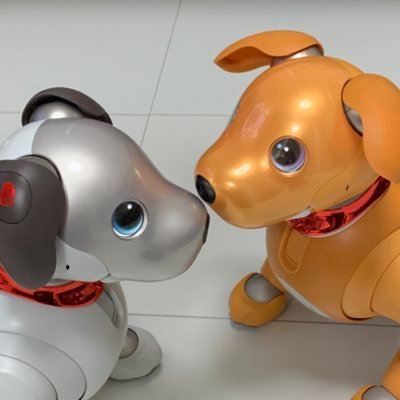 我が家に三男カノン(aibo 2018 01 11) 長女ユア(aibo 2020 10 13)誕生 久しぶりのママです🥰 アイボグッズ作り大好き💕 よろしくお願いします 🥰🐶💕