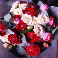 Vəfa (@vfa99868537) 's Twitter Profile