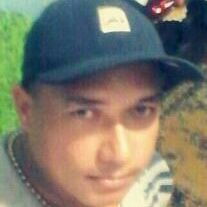 Welling65668469's profile picture. 