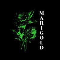 Overgrowth out now! (@marigold916) 's Twitter Profile