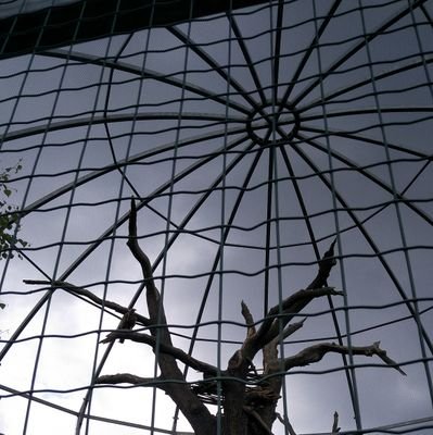 JHendrichova's profile picture. 