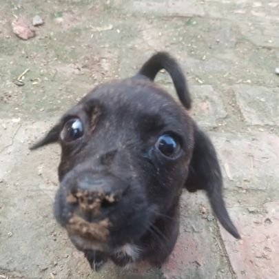 yyqrwzm's profile picture. 