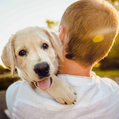 PetSpace1's profile picture. PetSpace is a company that provides services to provides dogs and cats a happy, comfortable life. The company tends to pets to provide a good healthy life.
