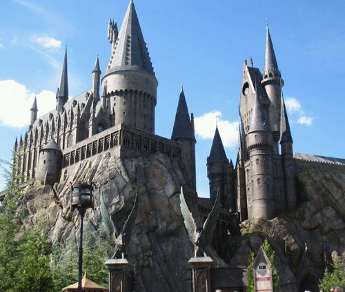 I luv Harry Potter books movies and theme park. Peter Facinelli and disney all the way