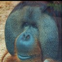 Sam South - @ss2108sla - Twitter