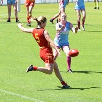 Shellee Gibson (@shellbob5) 's Twitter Profile